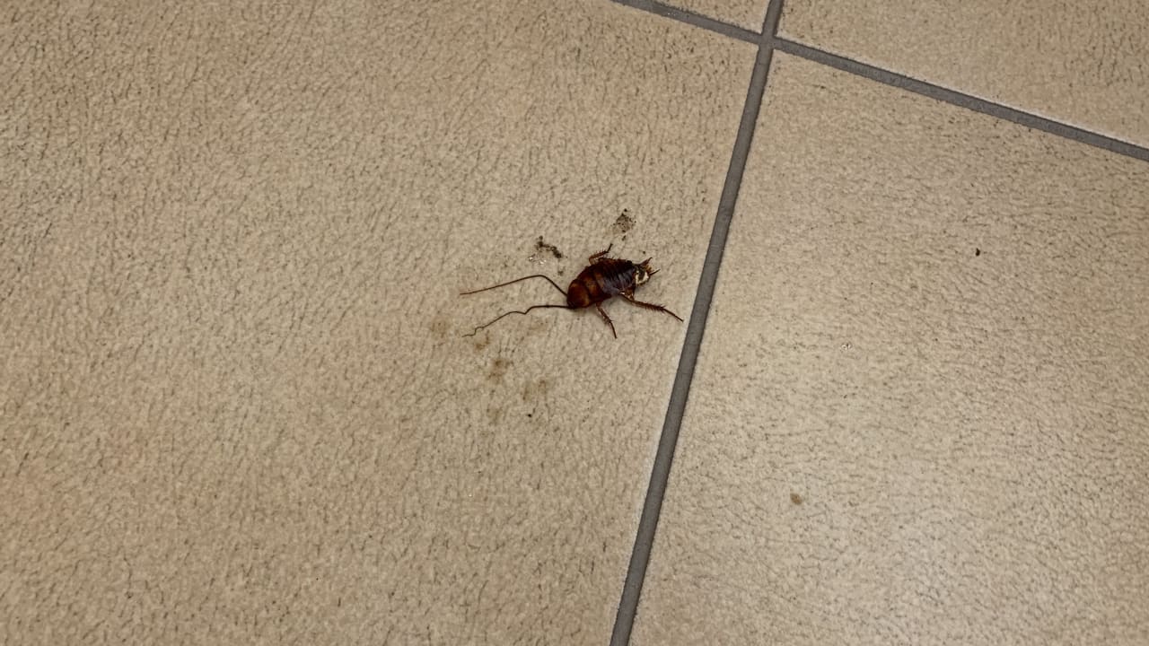 Zimmer Hotel Zephyros