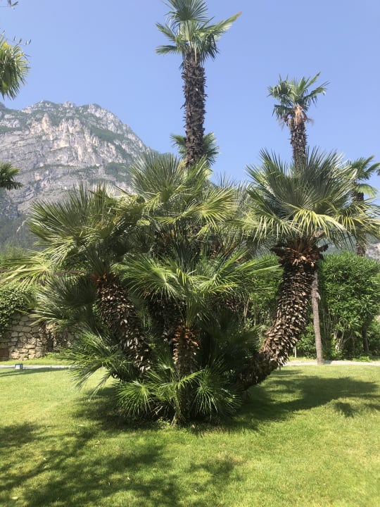 Gartenanlage Astoria Resort