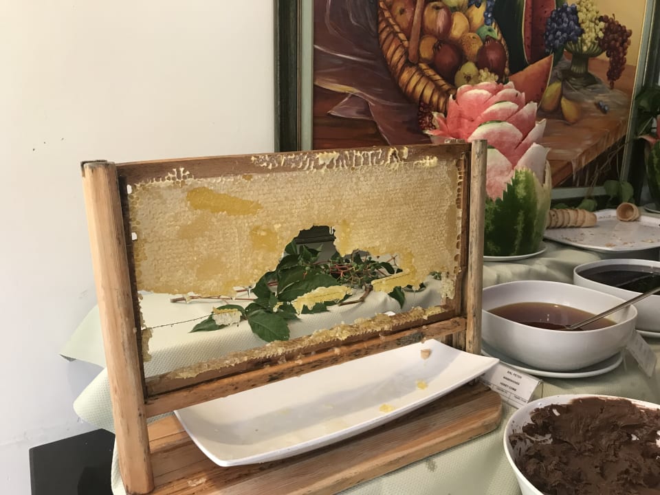 Gastro Hotel Gardenia Beach