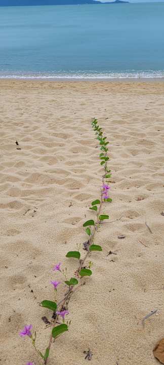 Strand Santiburi Koh Samui