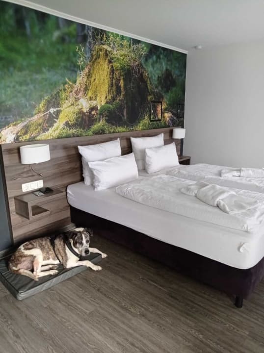 Zimmer Hotel Mein Bergblick