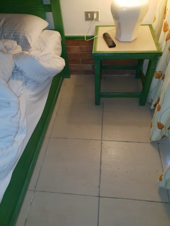 Zimmer Giftun Azur Resort