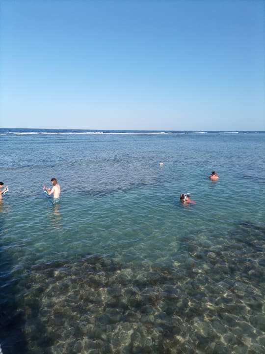 Strand Novotel Marsa Alam Beach Resort