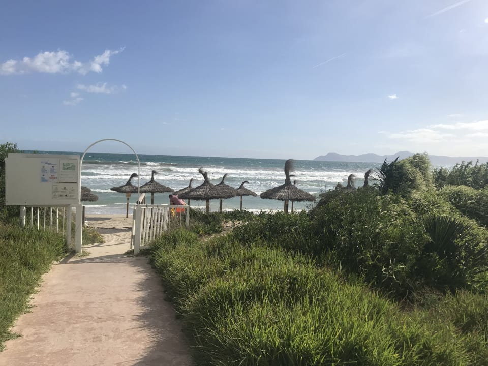 Zimmer Playa Esperanza Resort