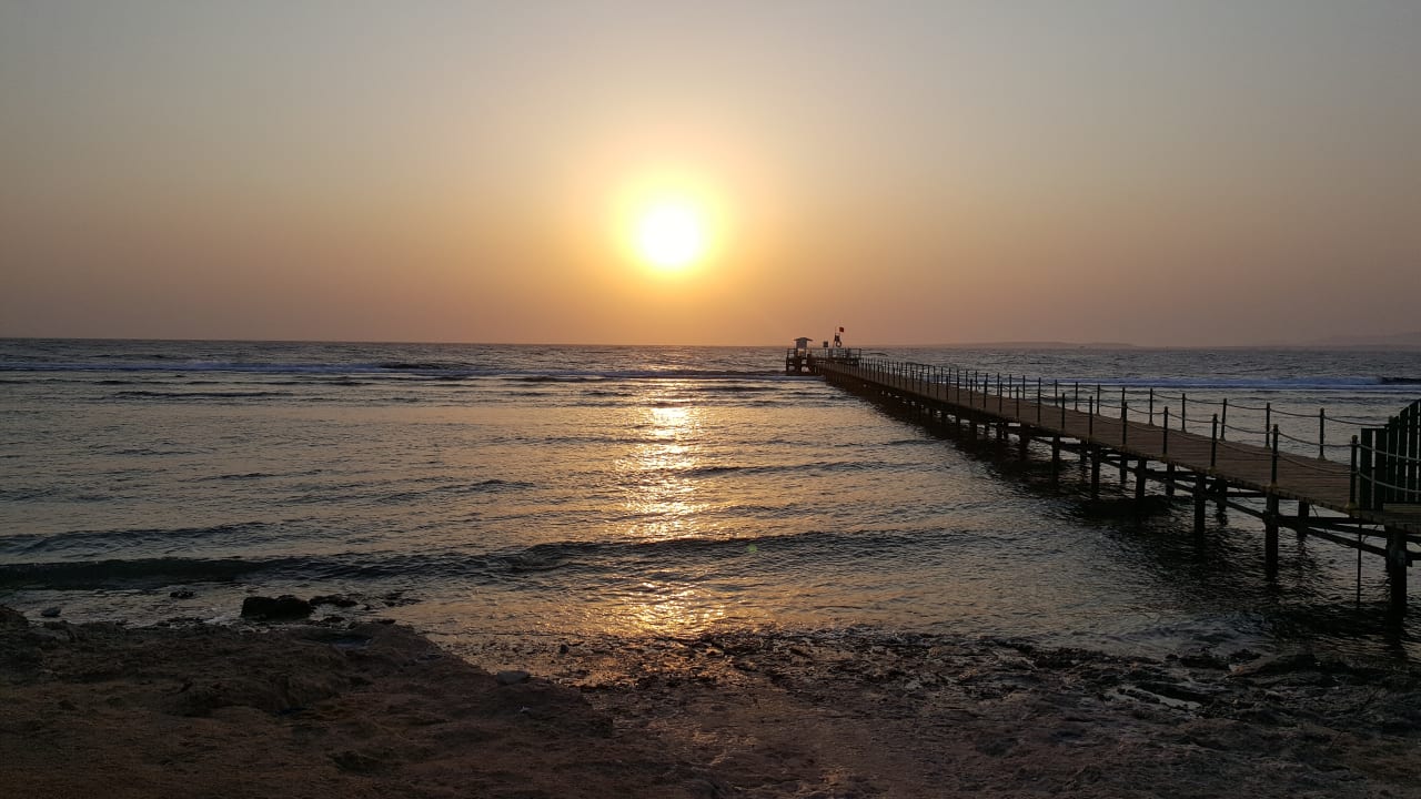 Ausblick Parrotel Beach Resort