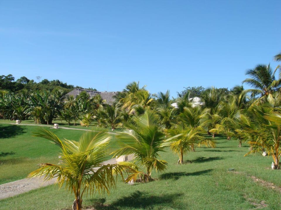 Gartenanlage Paradisus Rio de Oro Resort & Spa - Adults only
