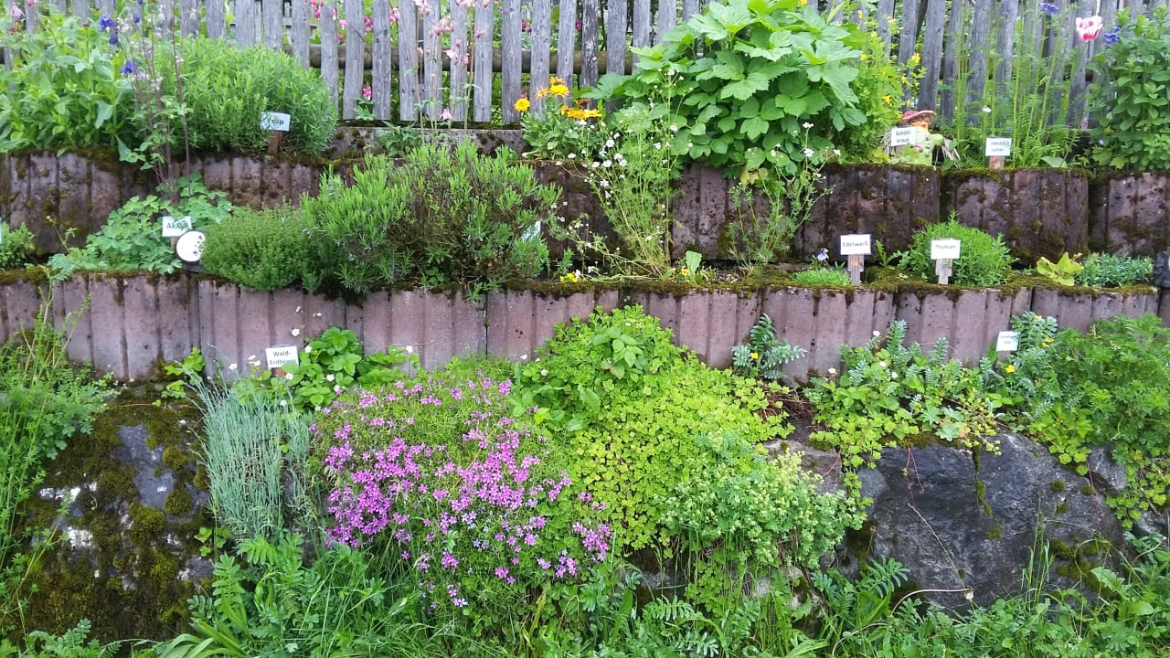 Gartenanlage Ferienhof-Ammann