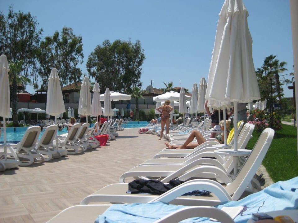 Genug Liegen frei Seashell Resort