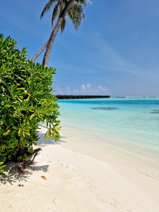 Strand Meeru Maldives Resort Island