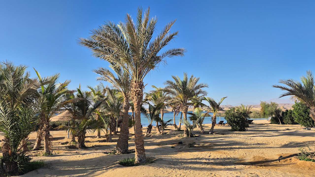 Strand Hotel Mangrove Bay Resort