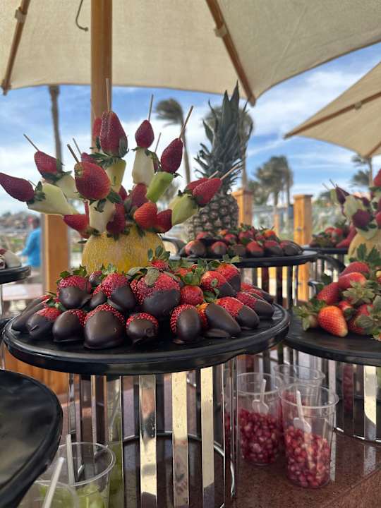 Gastro Three Corners Sea Beach Resort