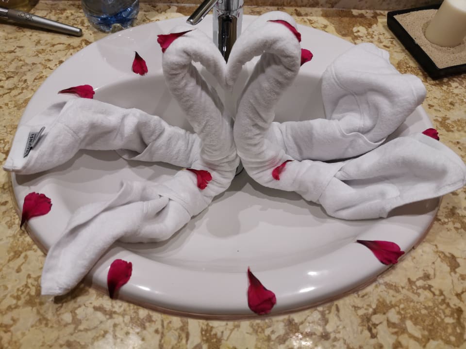 Zimmer Iberostar Selection Hacienda Dominicus