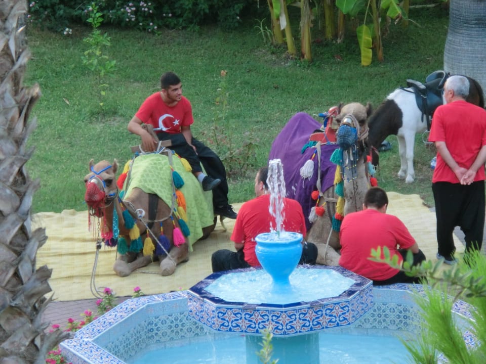 Türkischer Abend Ali Bey Club