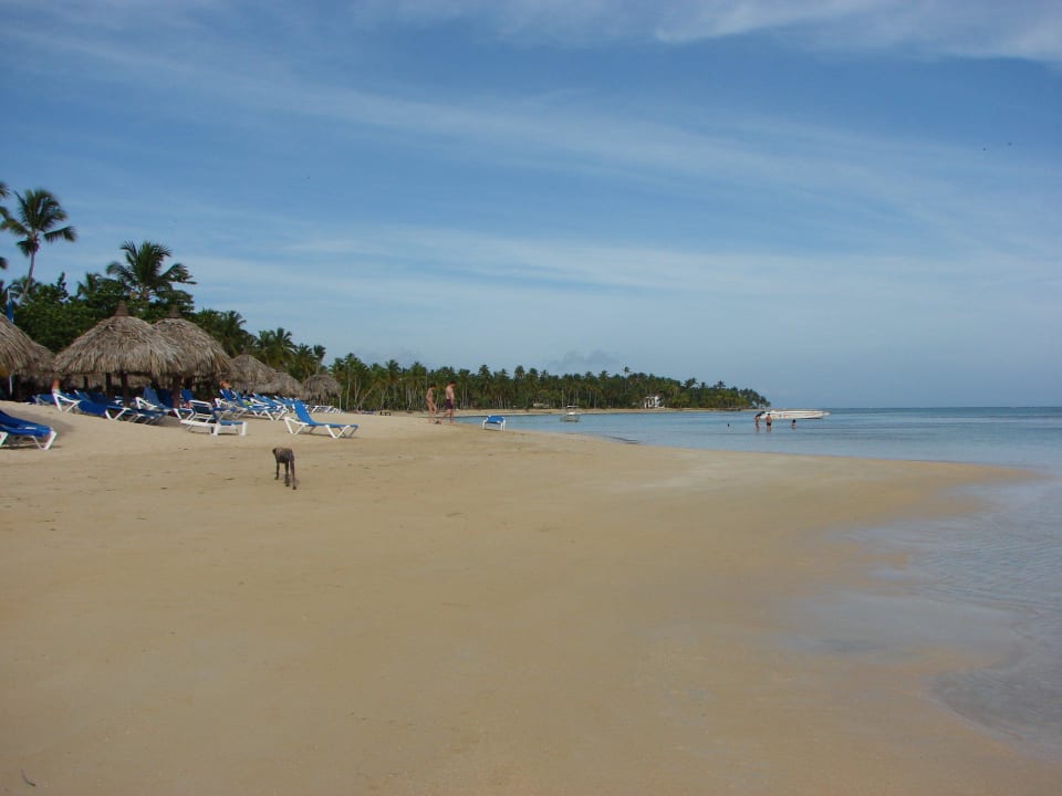 Hotelstrand Bahia Principe Grand El Portillo