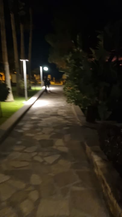 Gartenanlage Arum Barut Collection