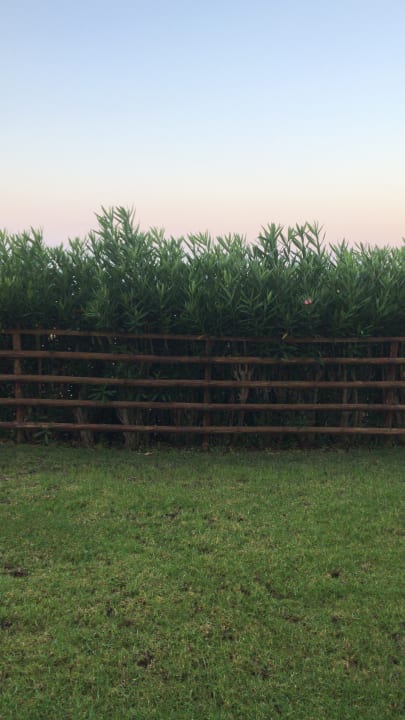 Ausblick Hotel Kalithea Horizon Royal