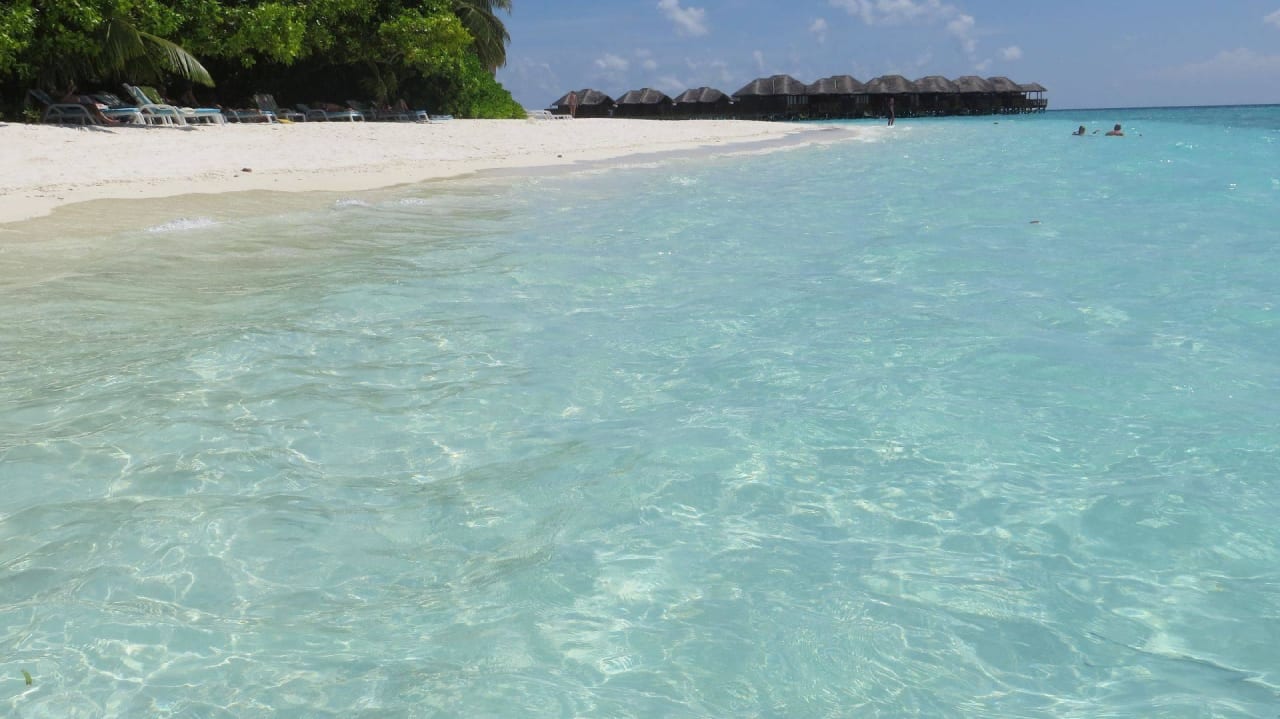 Hotel Fihalhohi Island Resort Fihalhohi Maldives