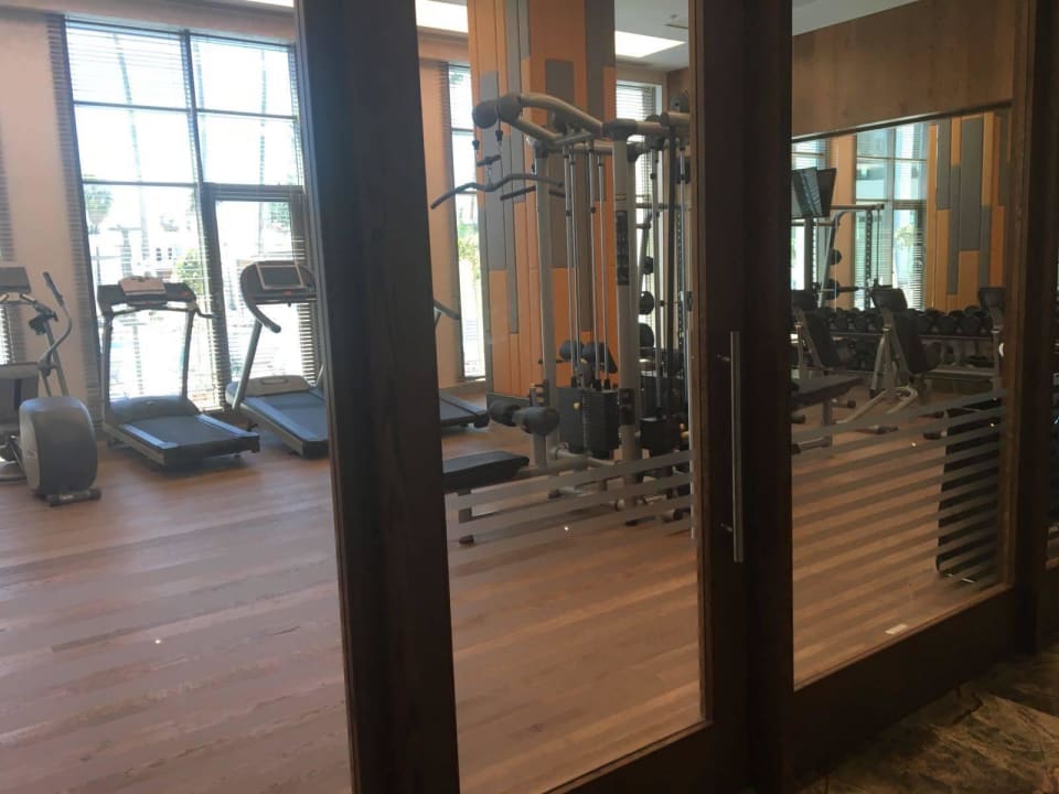 Fitnessraum Acanthus Cennet Barut Collection