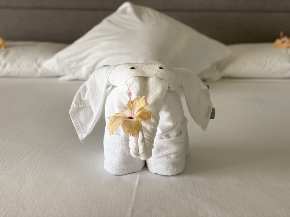 Zimmer Hotel Riu Palace Maldivas