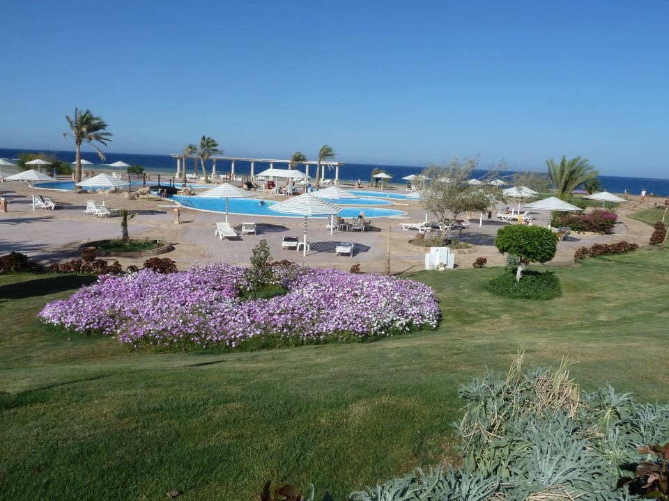 Blütenmeer am Hauptpool Three Corners Equinox Beach Resort