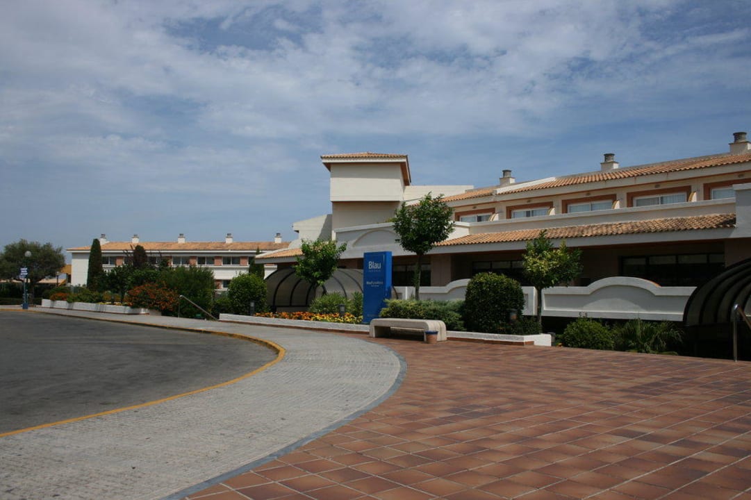 Rezeption blau punta reina