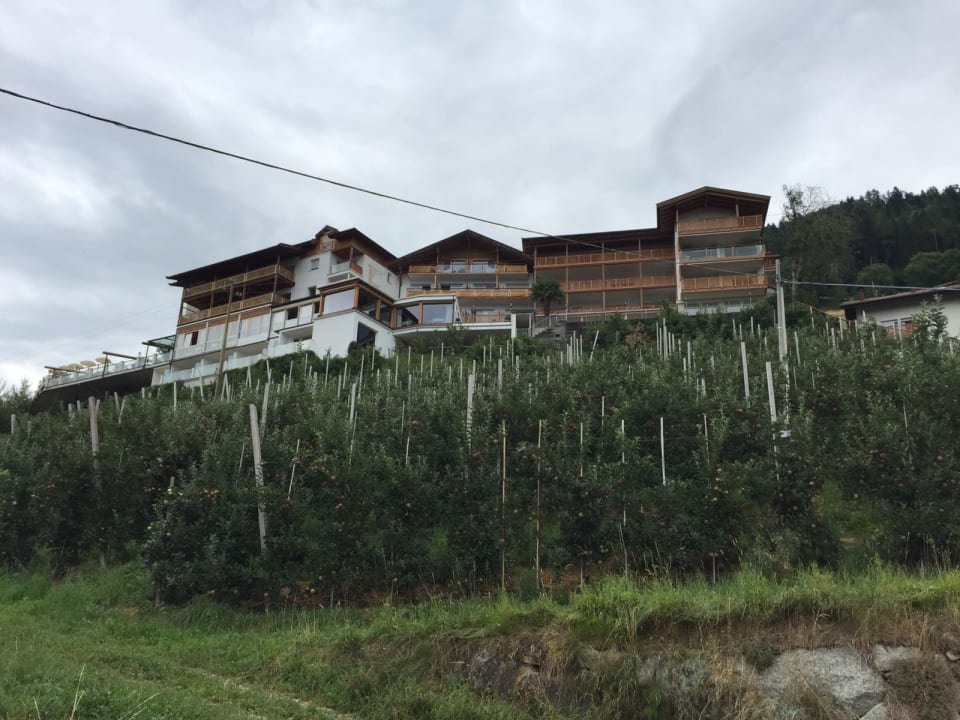 Außenansicht Hotel Panorama