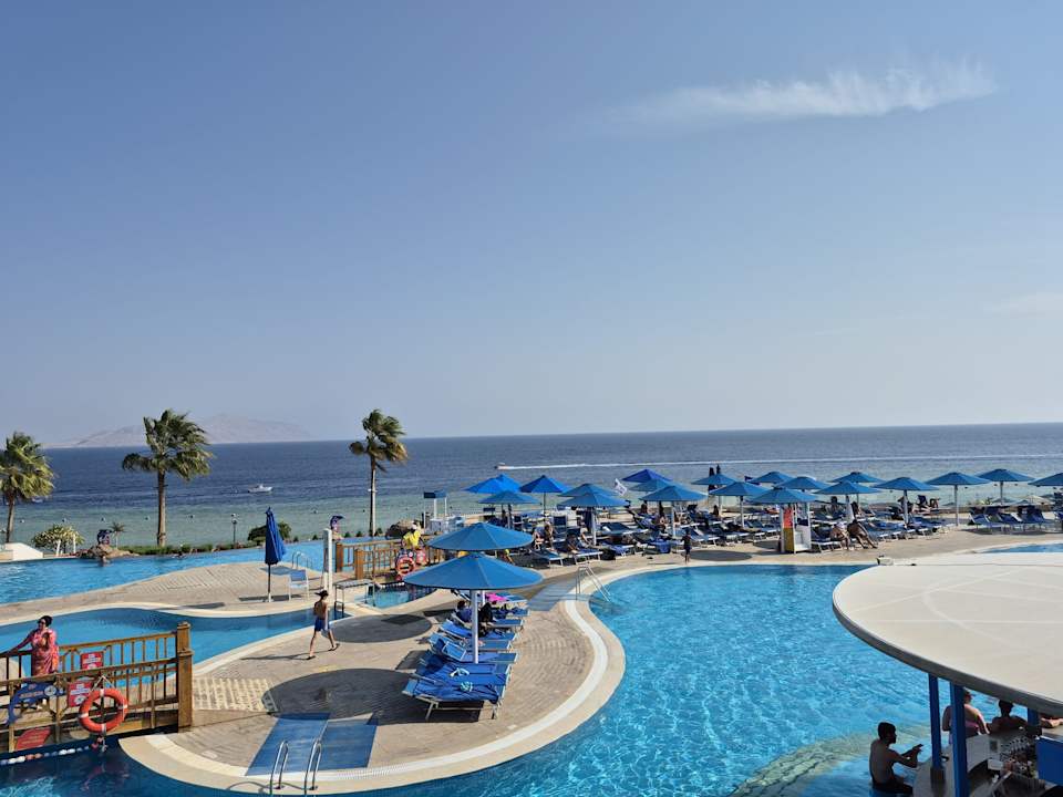 Pool Pickalbatros Palace Resort