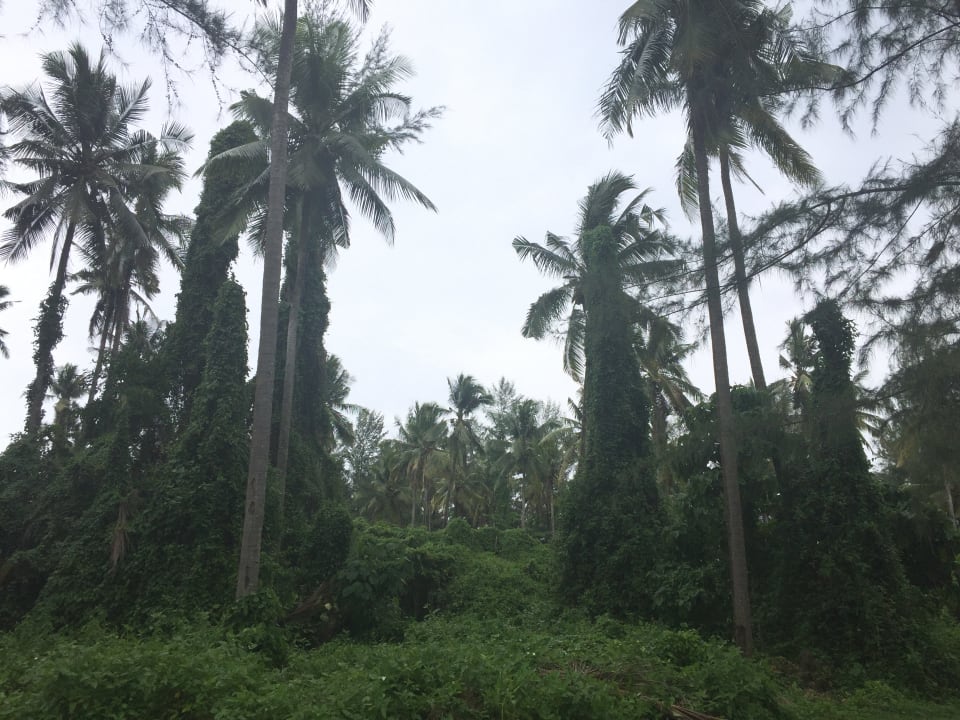 Zimmer Kantary Beach Hotel - KHAO LAK