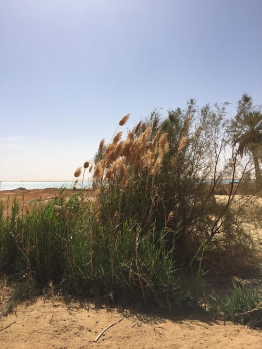 Spaziergang Adrere Amellal Eco Lodge