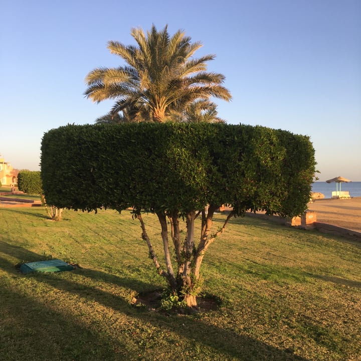 Gartenanlage Radisson Blu Resort, El Quseir