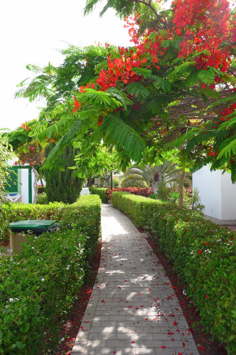 Mülleimer alle paar Meter Bungalows Cordial Sandy Golf