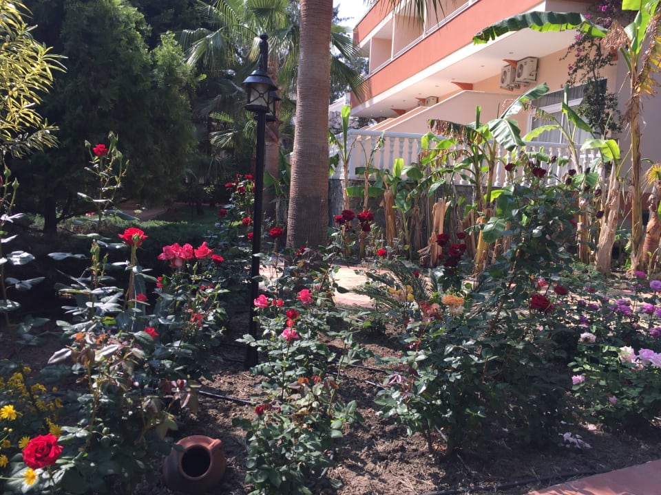 Gartenanlage Club Dizalya
