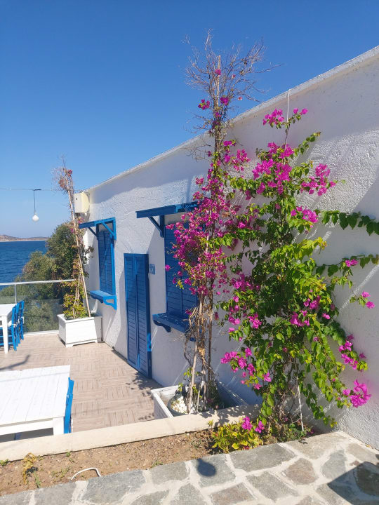 Gastro Blue Dreams Resort & Spa