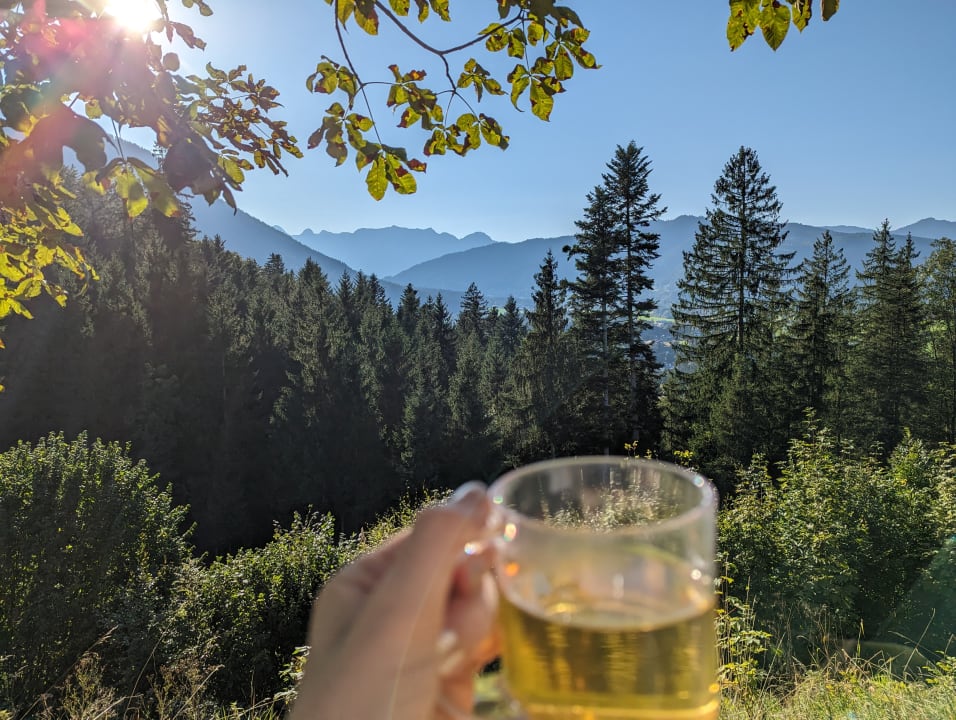 Gastro Alm- & Wellnesshotel Alpenhof