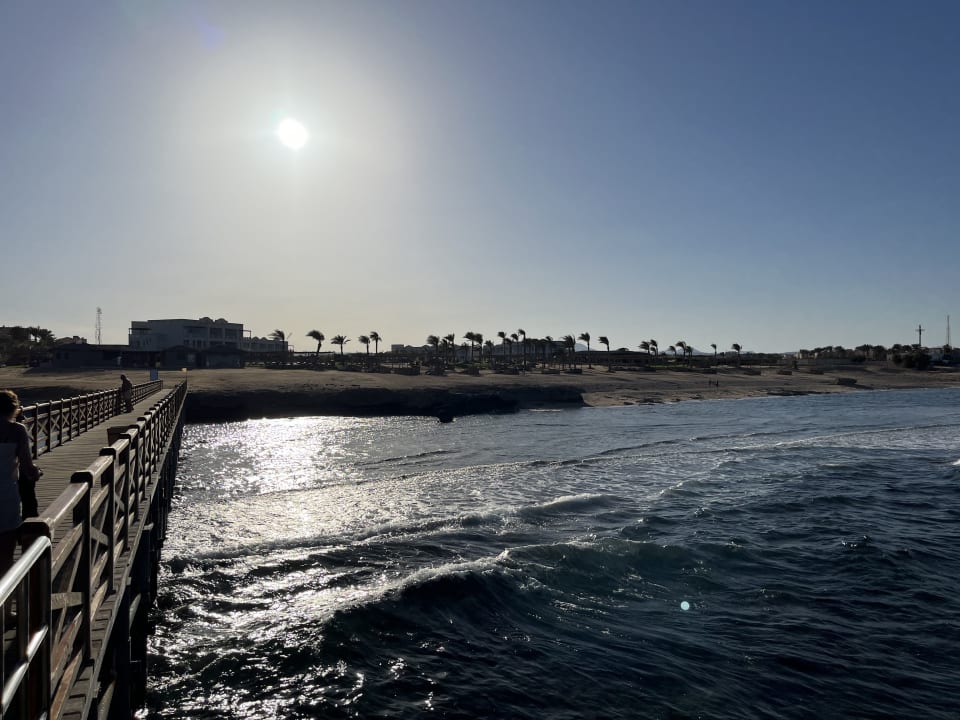 Strand Steigenberger Resort Alaya Marsa Alam - Red Sea - Adults only