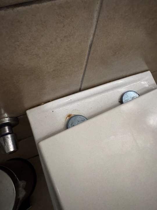 Zimmer Well Palace Side