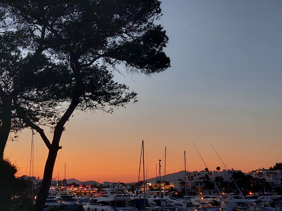 Sonstiges Calimera Fido Gardens