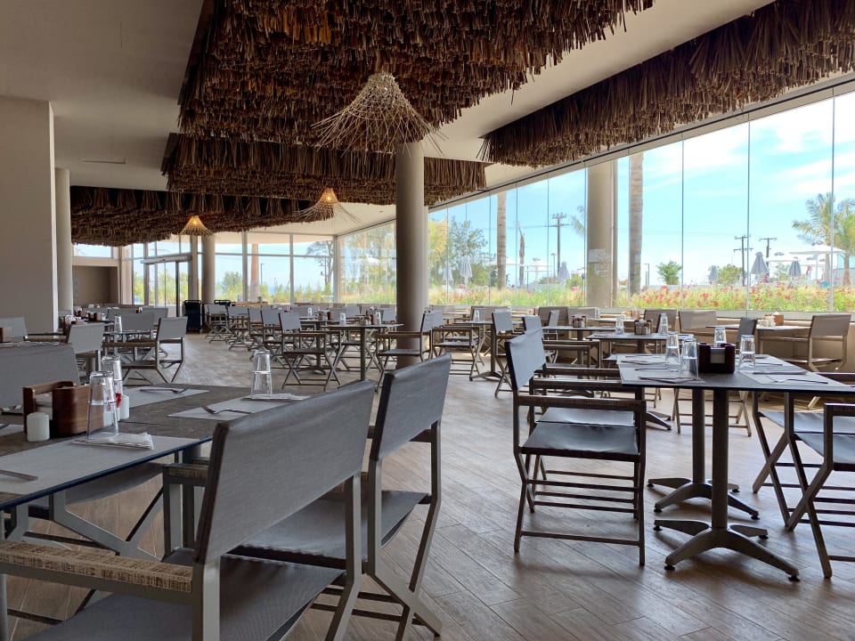 Gastro Blue Lagoon Ocean