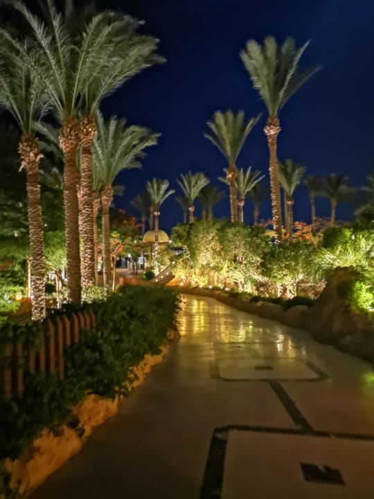 Gartenanlage Makadi Spa - Adults only