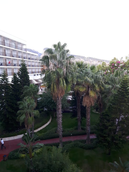 Blick aus dem Hotelgarten TUI MAGIC LIFE Beldibi +16