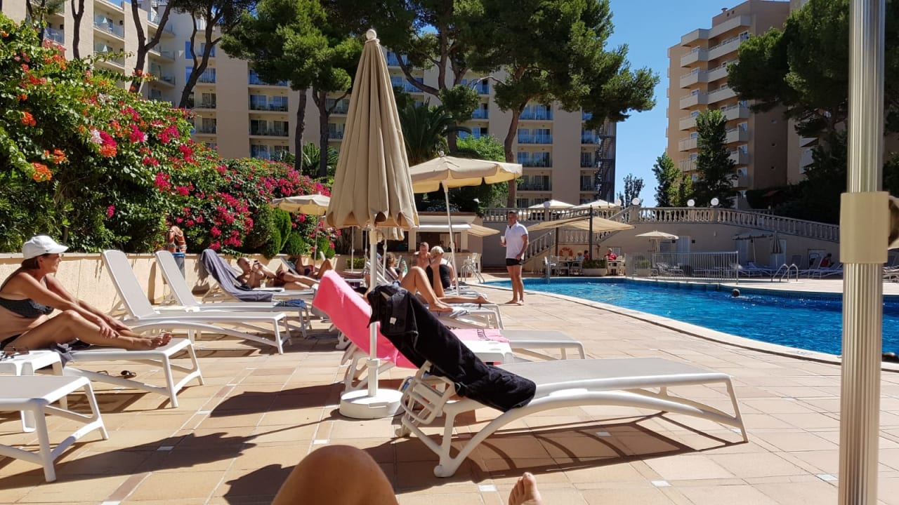 Pool Grupotel Orient
