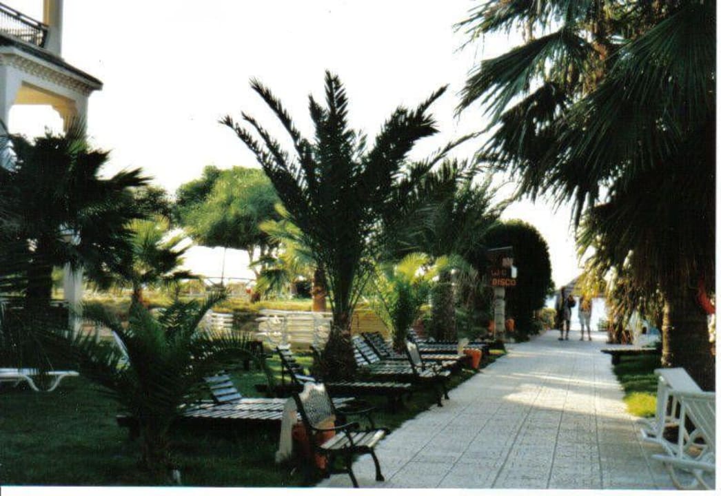 Außenanlage Golden Beach Palmyra Golden Beach