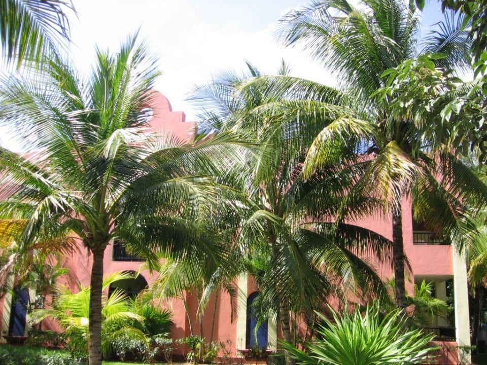 Hotel Hotel Riu Tequila