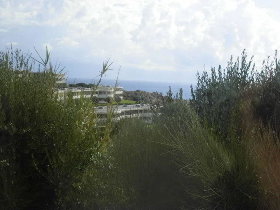 Hotel Hotel Kalithea Horizon Royal