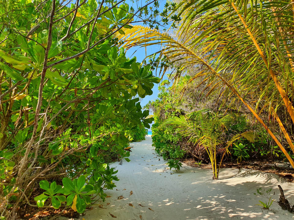 Gartenanlage Palm Beach Resort & Spa Maldives