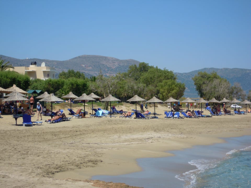 Im Hintergrund Beachvolleyballplatz (Netz) Phãea Cretan Malia