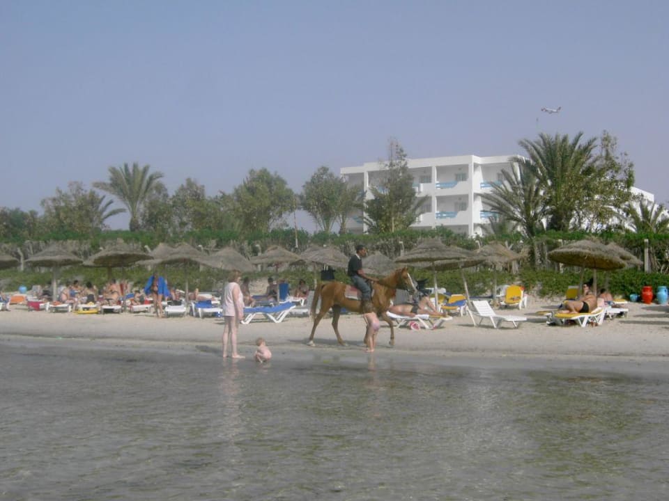 Strand und Hotel Hotel Rosa Beach