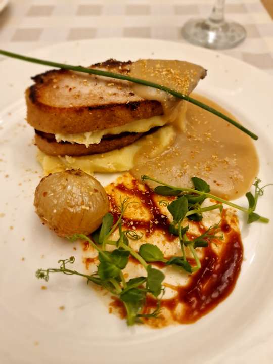 Gastro Seashell Vega