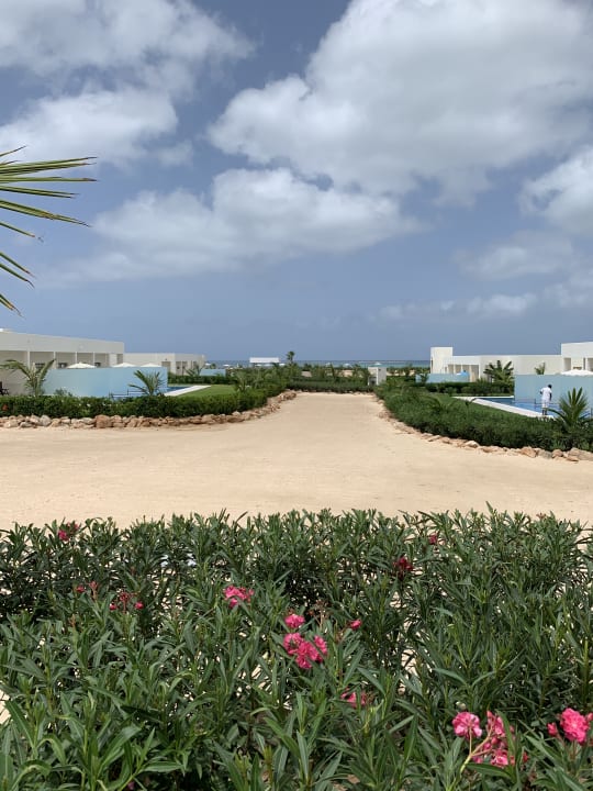 Ausblick Hotel Riu Palace Boavista