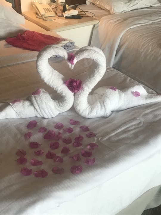 Zimmer Pickalbatros Citadel Resort